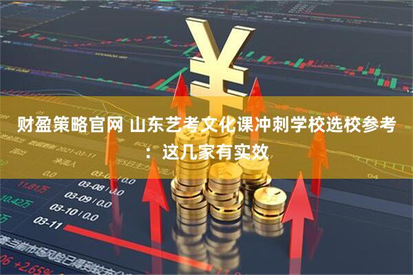 财盈策略官网 山东艺考文化课冲刺学校选校参考：这几家有实效