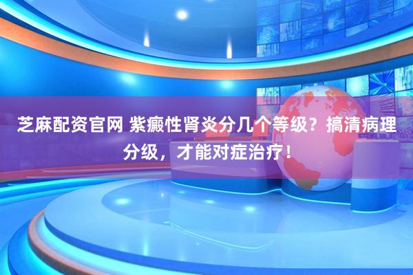 芝麻配资官网 紫癜性肾炎分几个等级？搞清病理分级，才能对症治疗！