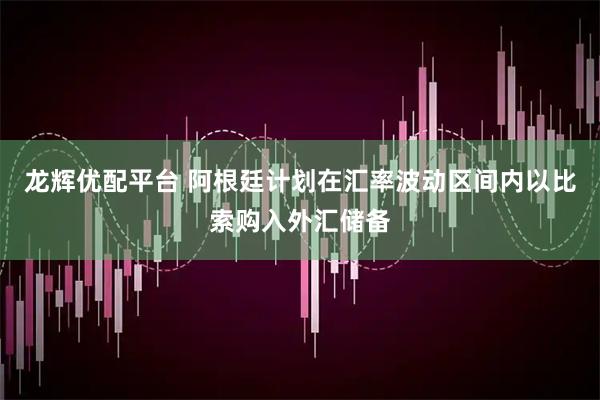龙辉优配平台 阿根廷计划在汇率波动区间内以比索购入外汇储备